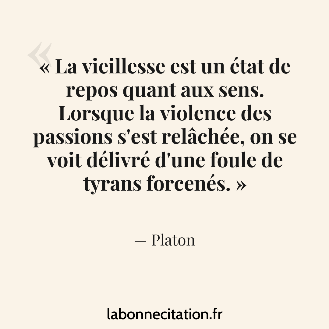 Aperçu